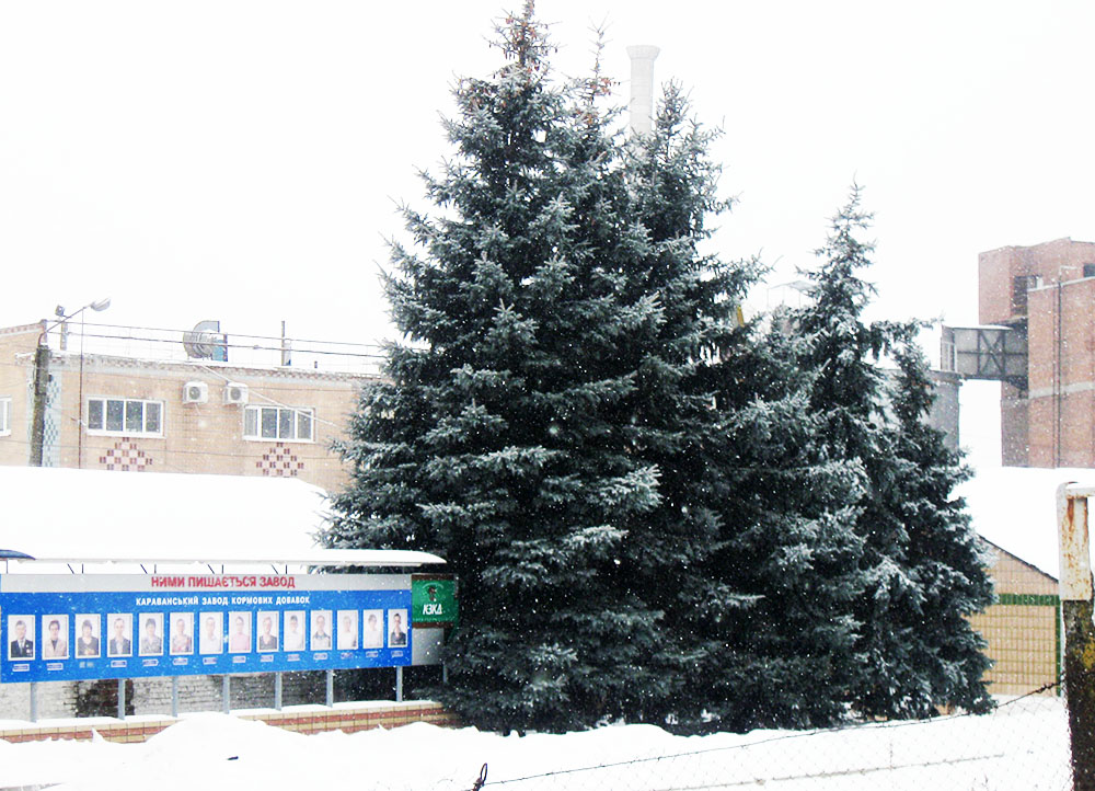 Караванський завод кормових дріжджів